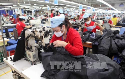 Kinh tế Việt Nam phục hồi sau 'cơn choáng' TPP 